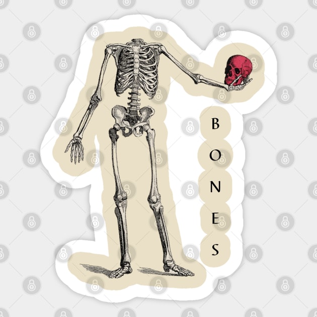 Bones Sticker by The Inspire Cafe